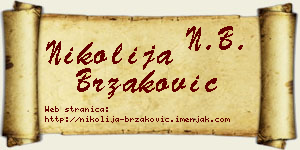 Nikolija Brzaković vizit kartica